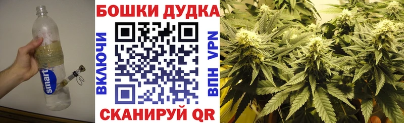 Купить закладку Гашиш  СОЛЬ  Меф мяу мяу  Cocaine  Ильский