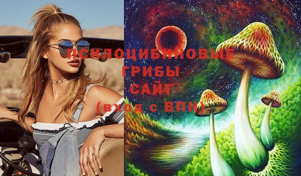 меф Бородино