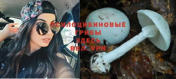 меф Бородино
