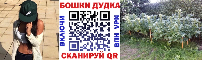 Марихуана White Widow  Купить  Ильский 
